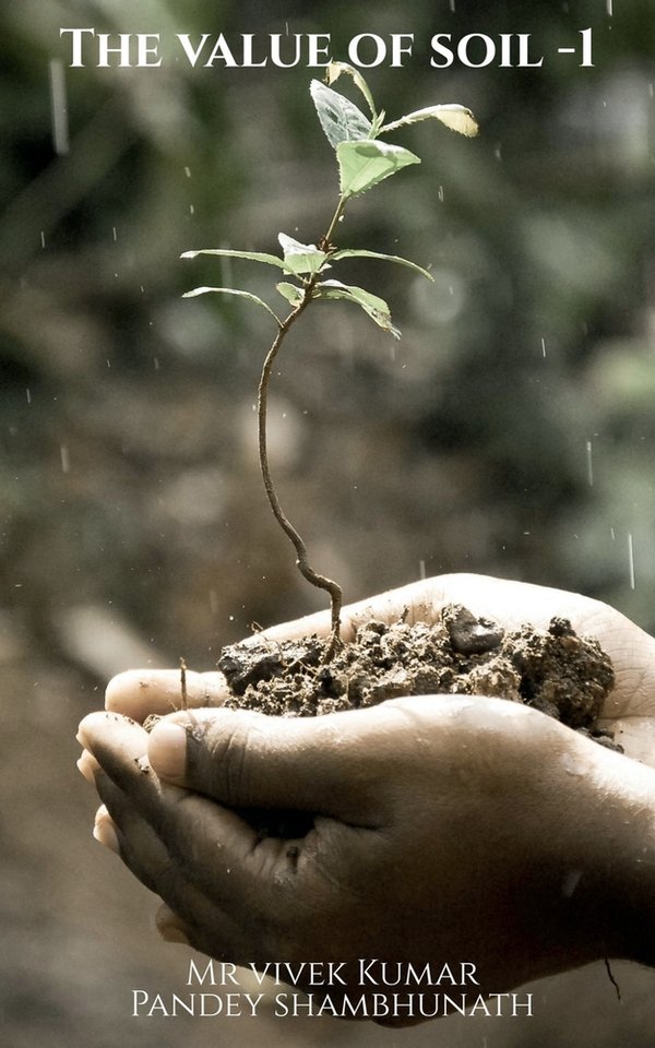 The value of soil - 1 a book by Vivek Pandey - Bookshop.org US
