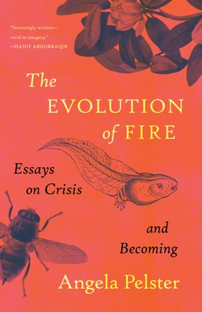 The Evolution of Fire bookcover