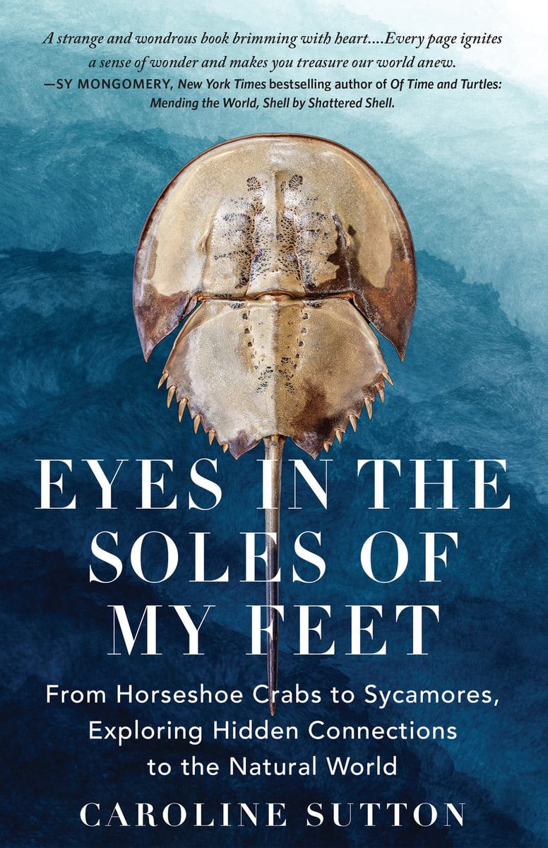EYES IN THE SOLES OF MY FEET bookcover