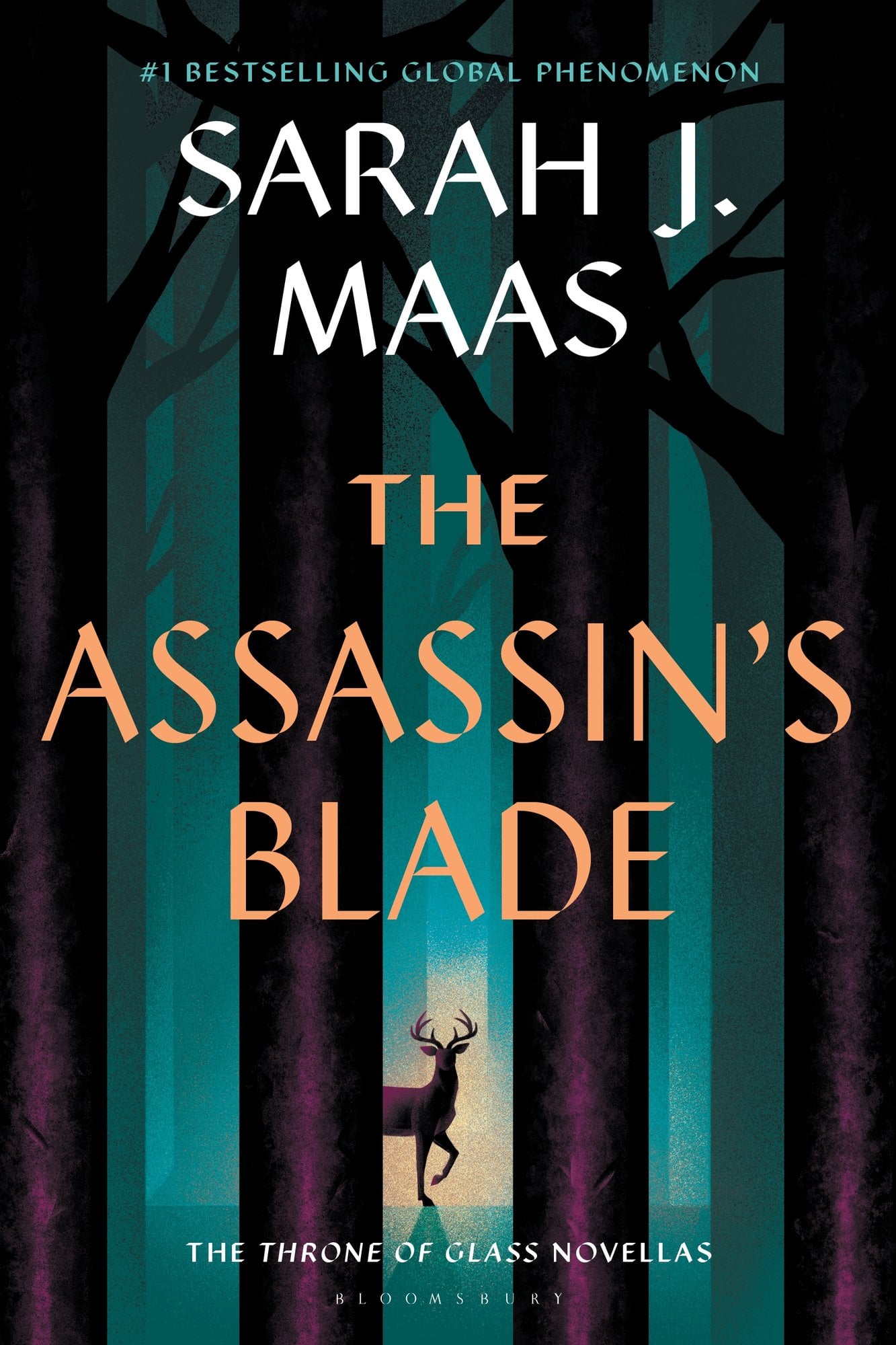 The Assassin’s Blade by Sarah J. Maas