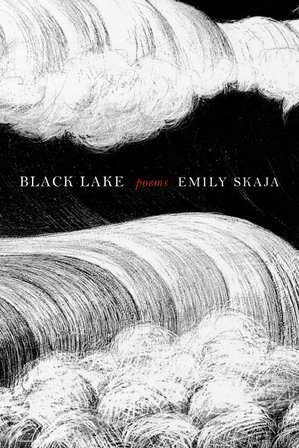 Black Lake bookcover