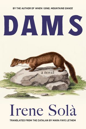 Dams bookcover