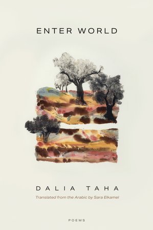Enter World bookcover