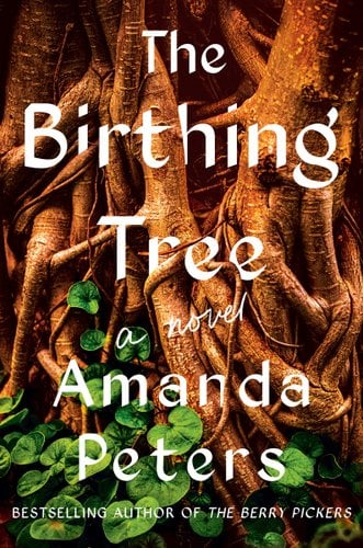 Cover of The Birthing Tree by Amanda Peters
