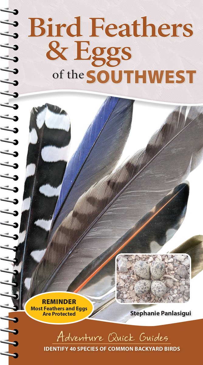 Bird Feathers & Eggs of the Southwest a book by Stephanie Panlasigui ...