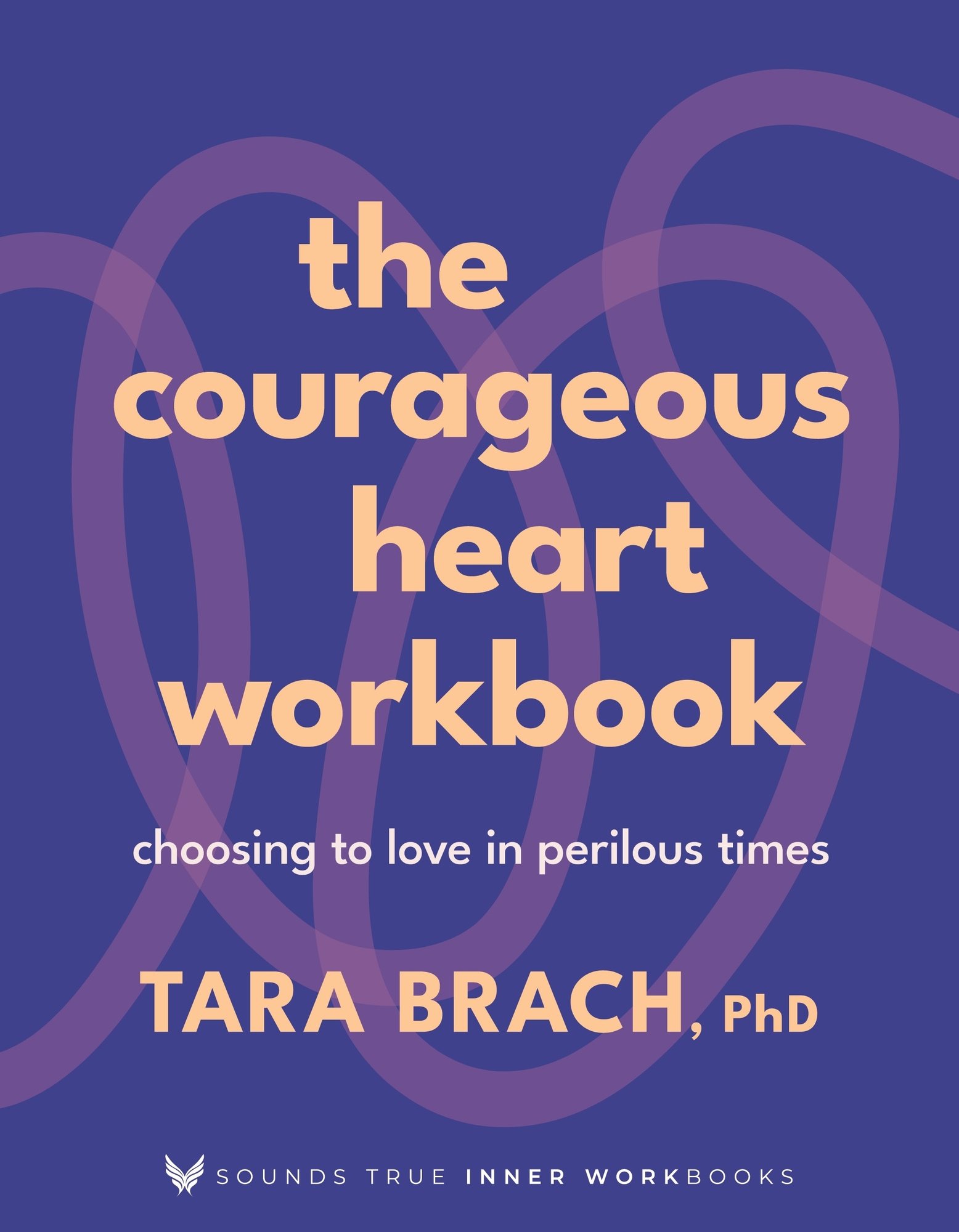 The Courageous Heart Workbook (Sounds True Inner Workbooks)