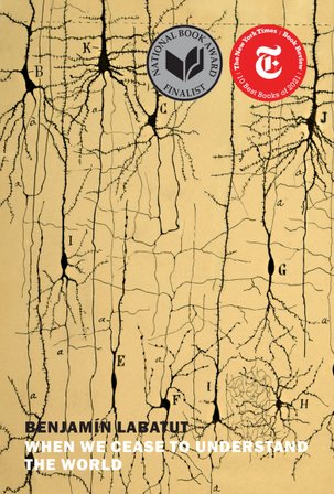 When We Cease to Understand the World bookcover
