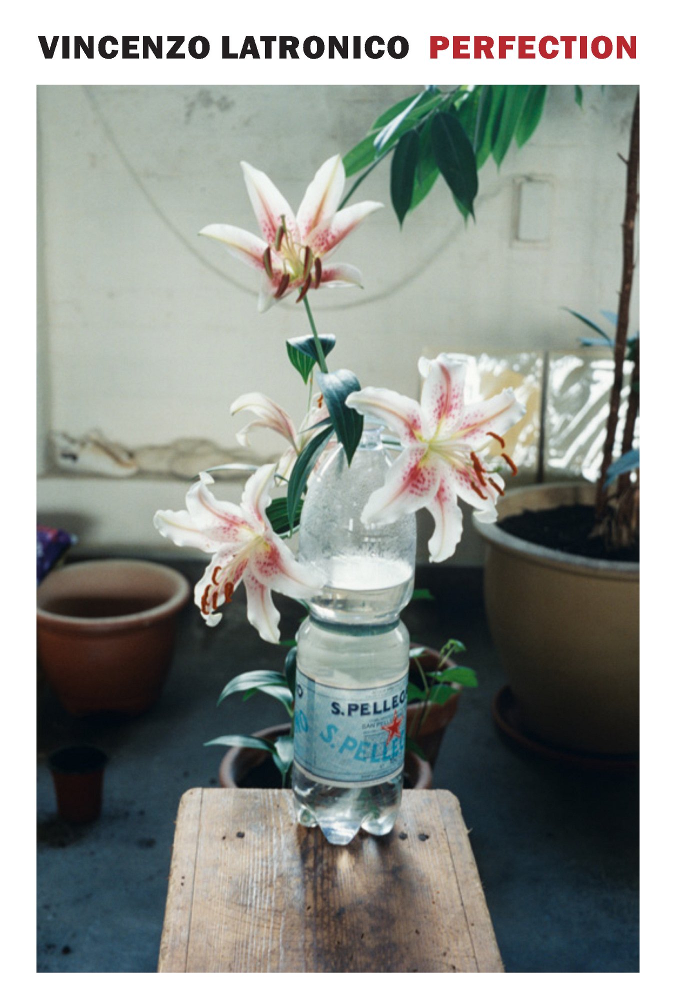 Perfection bookcover