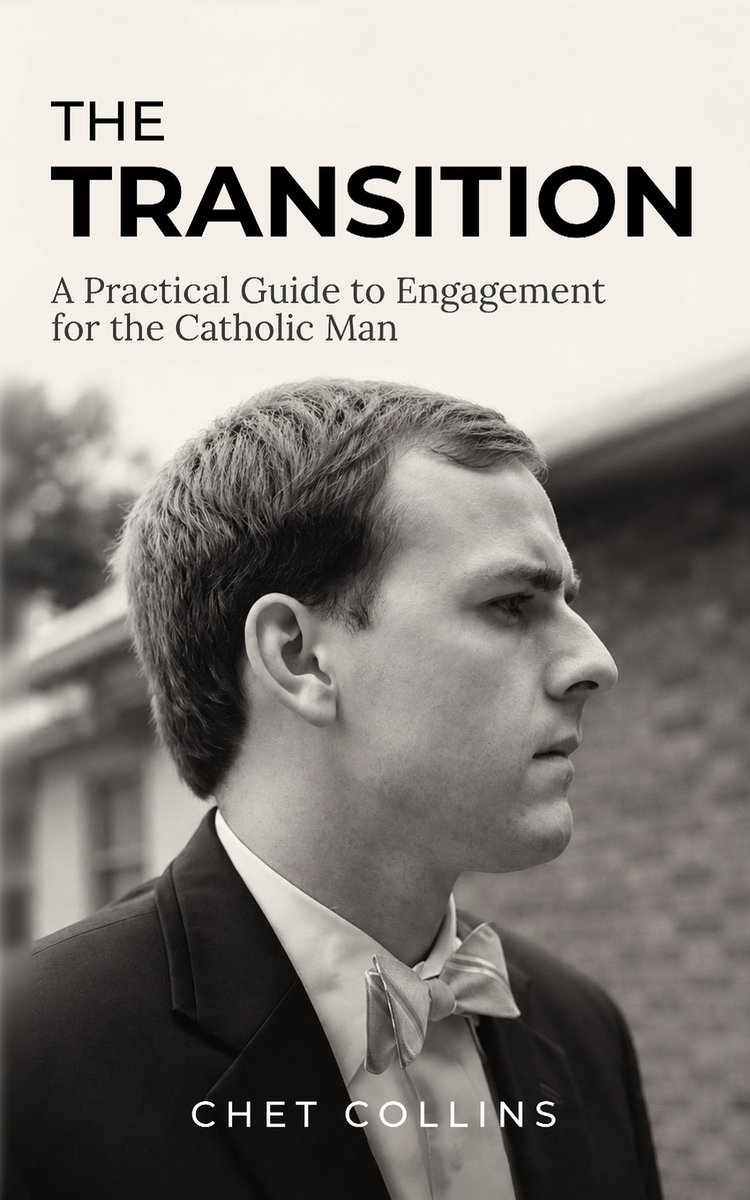 The Transition a book by Chet Collins - Bookshop.org US