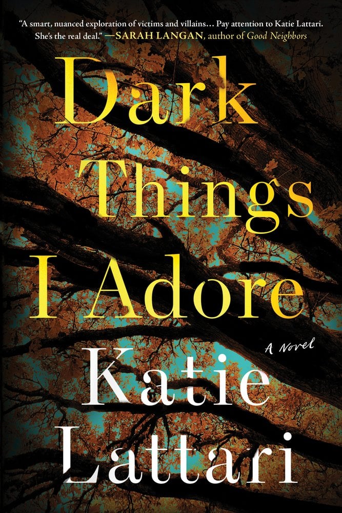Dark Things I Adore bookcover