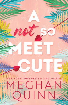 A Not So Meet Cute bookcover
