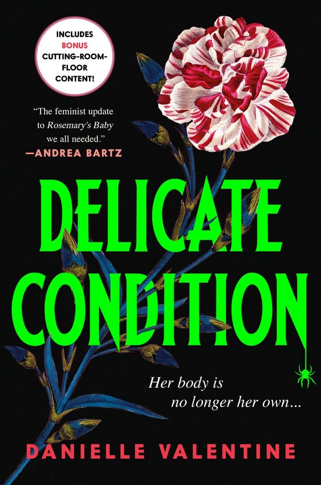 Delicate Condition bookcover