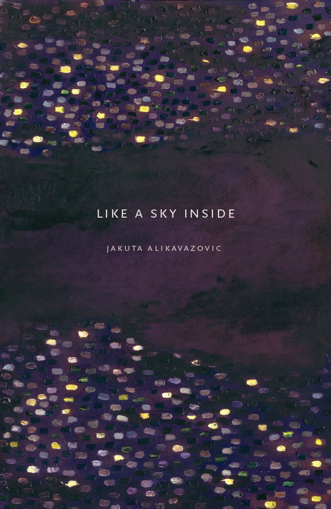 Like a Sky Inside bookcover