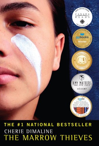 The cover features a boy with long dark hair and a white mark of paint on his face. Vertically on the right there are five circular awards for the book.