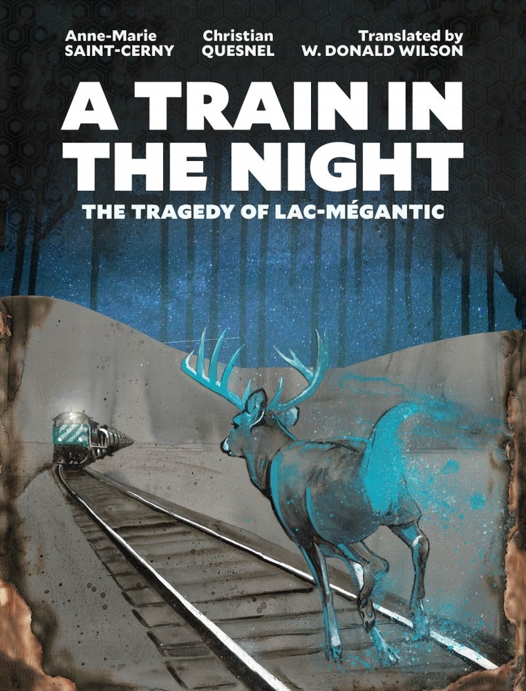 A Train in the Night bookcover