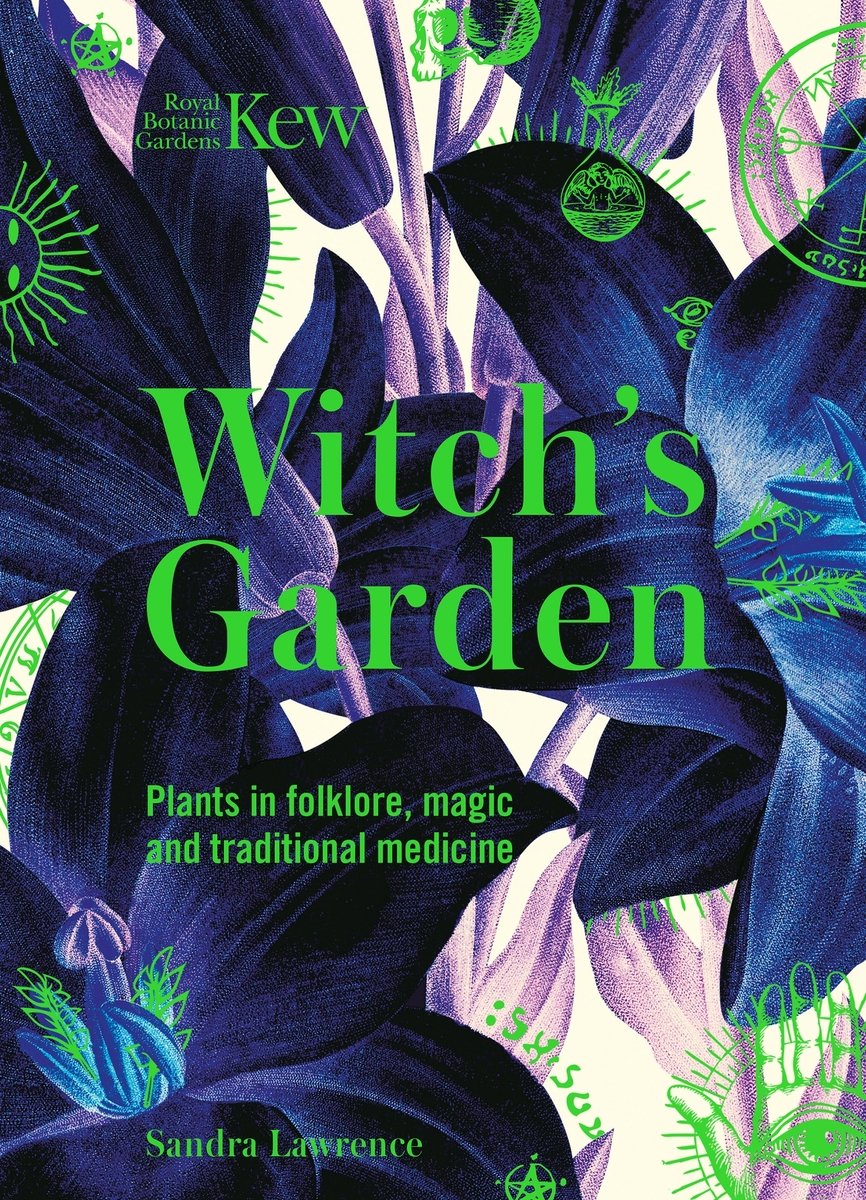 introduction to practical magic: an exploration of witchcraft's past ...