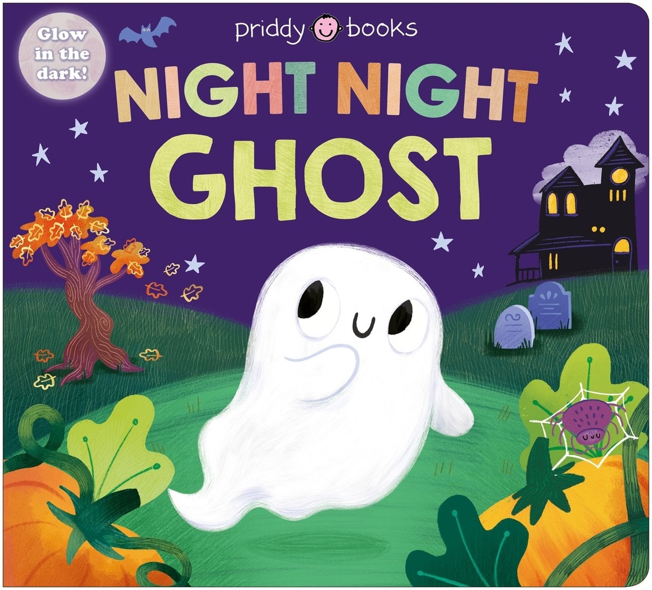 Cover of Night Night Ghost