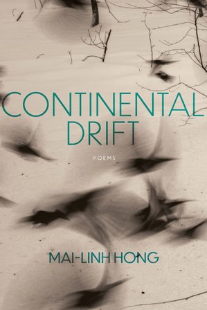 Continental Drift bookcover