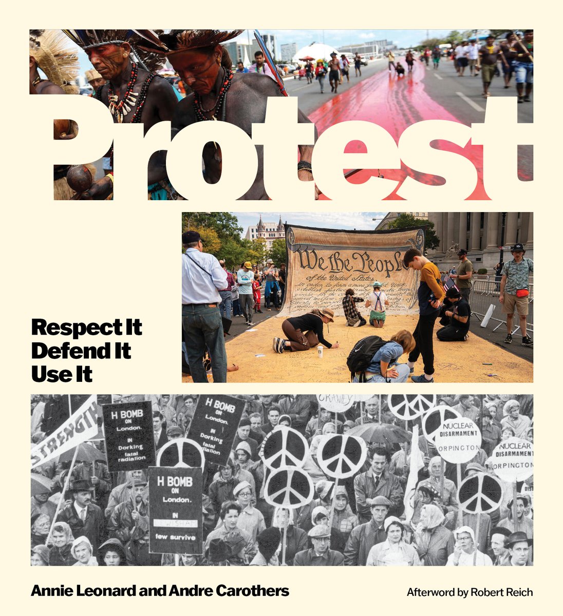 Protest a book by Annie Leonard, Andre Carothers, and Robert Reich
