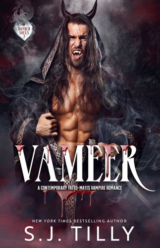 Cover of Vameer