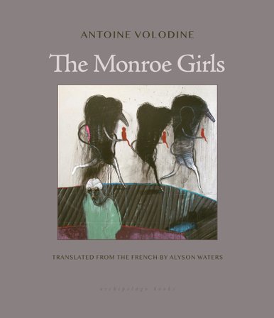 The Monroe Girls bookcover