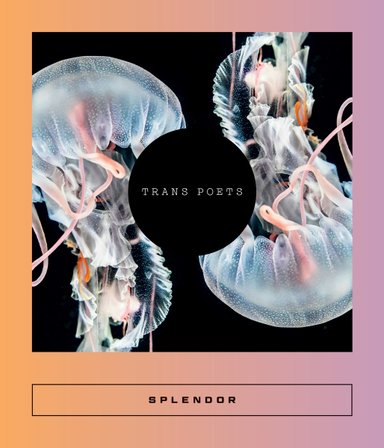 Splendor bookcover