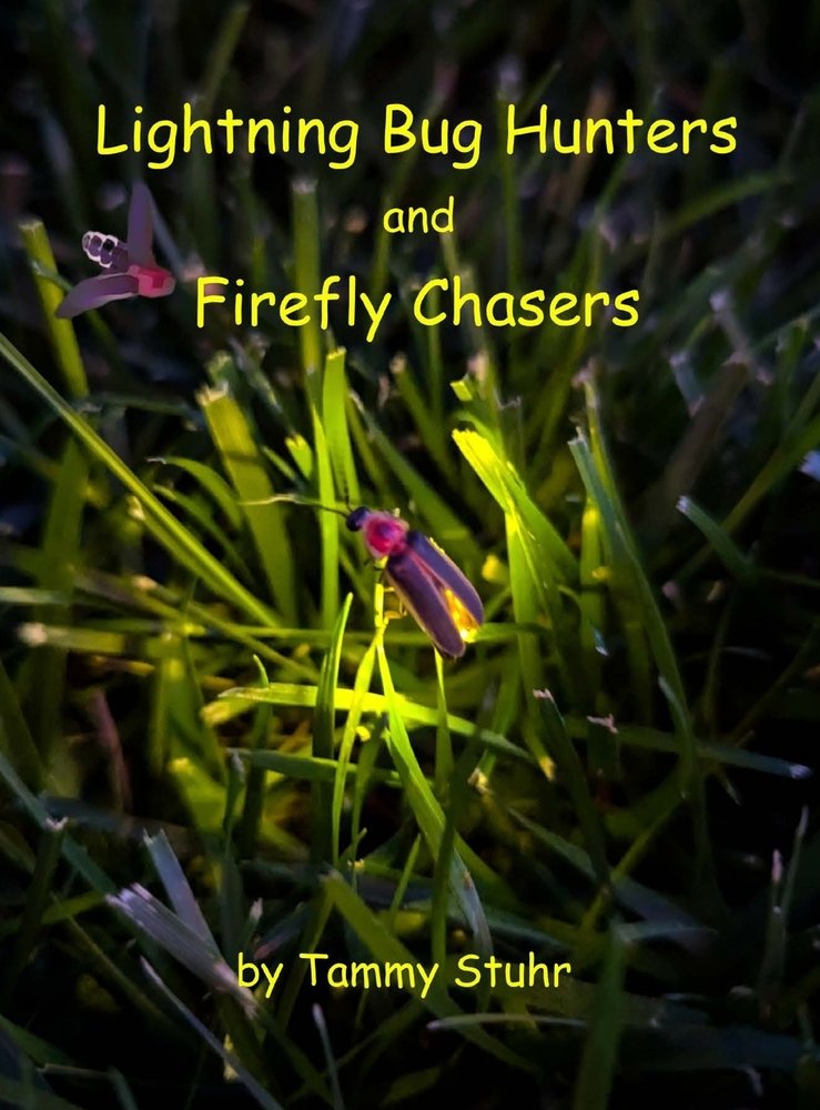 Lightning Bug Hunters and Firefly Chasers a book by Tammy Stuhr ...