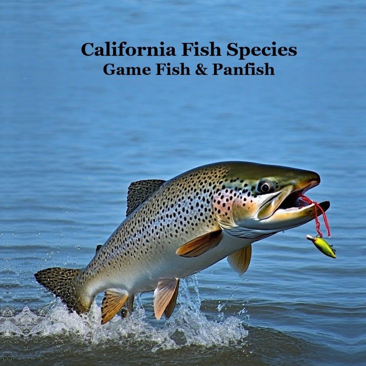 California Game Fish and Panfish Species Kids Book a book by Kinsey ...