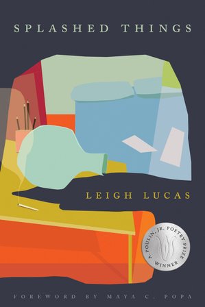 Splashed Things bookcover