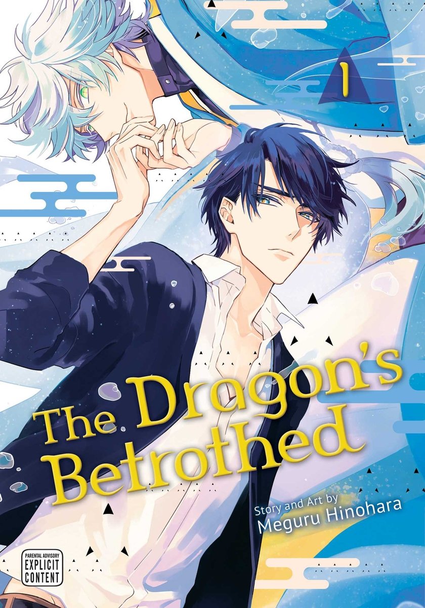 The cover of The Dragon's Betrothed by Meguru Hinohara depicting two male characters holding hands.