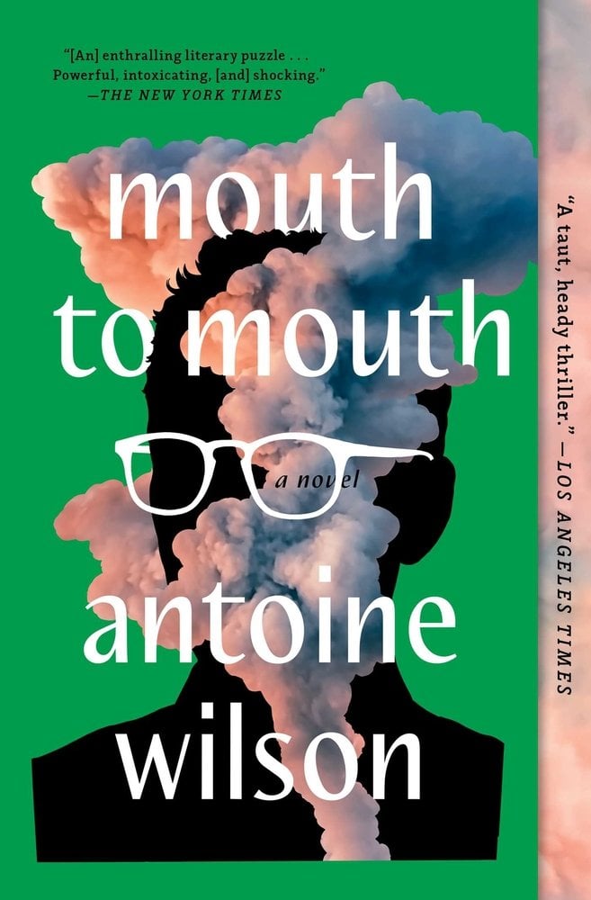 Mouth to Mouth bookcover