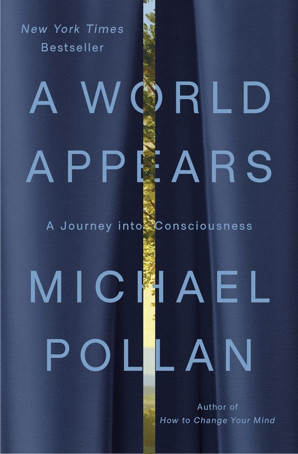 Cover of A World Appears