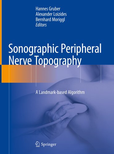 Sonographic Peripheral Nerve Topography: A Landmark-Based Algorithm ...