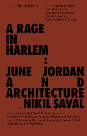 Rage in Harlem bookcover
