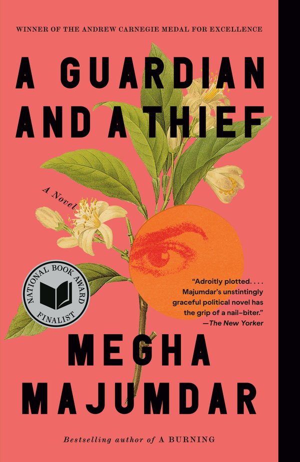 A Guardian and a Thief bookcover