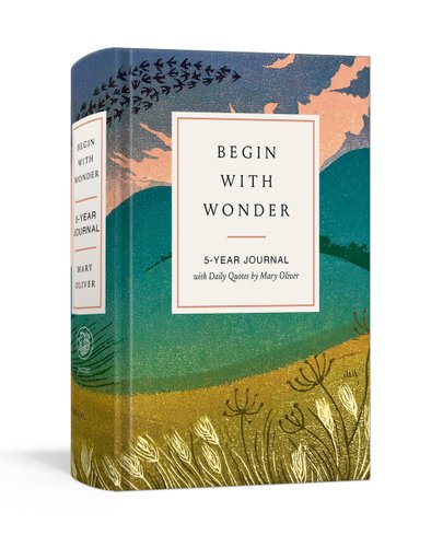 Begin with Wonder book cover