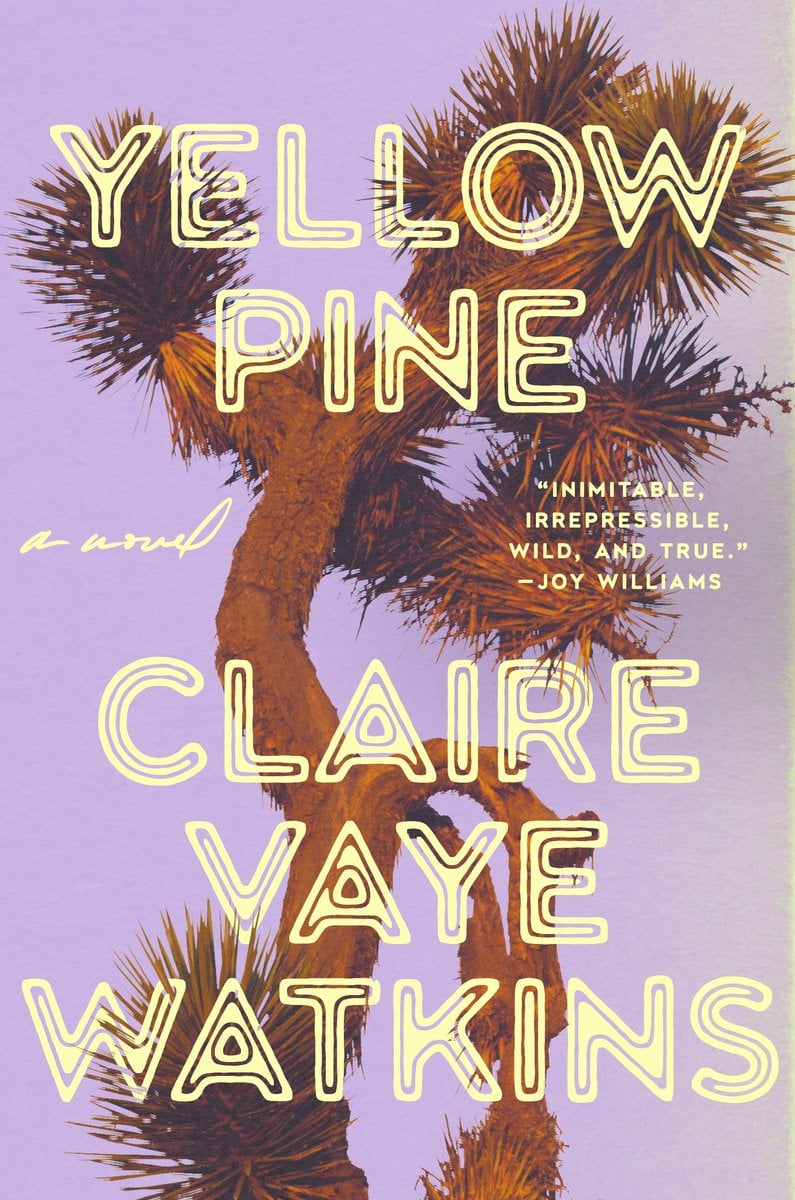 Yellow Pine by Claire Vaye Watkins book cover