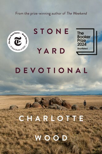A dry plain with rocks and a person and a vast cloudy sky
