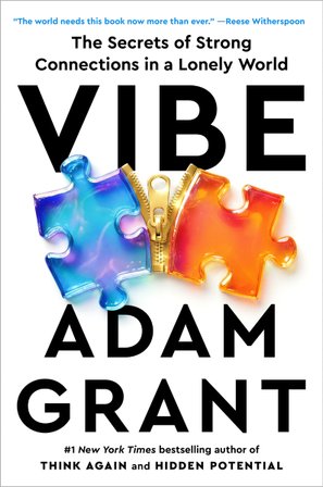 Vibe bookcover