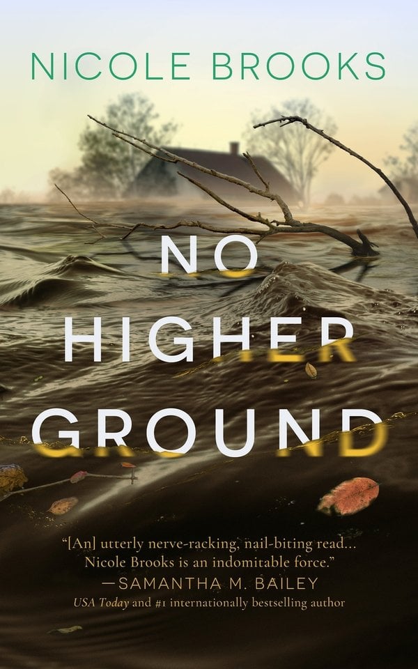 No Higher Ground bookcover