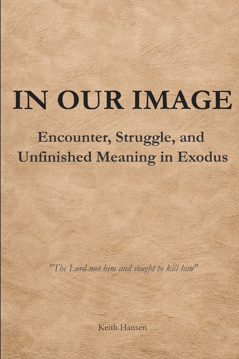 In Our Image a book by Keith Hansen - Bookshop.org US