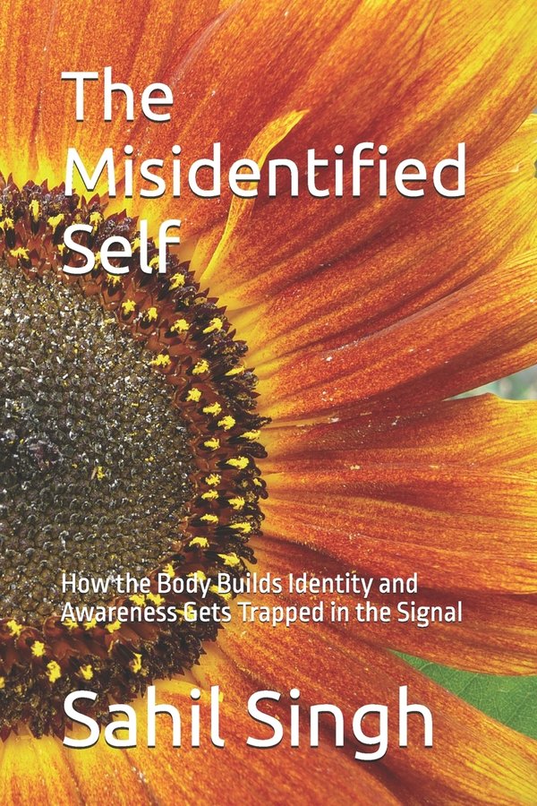 Cover of The Misidentified Self