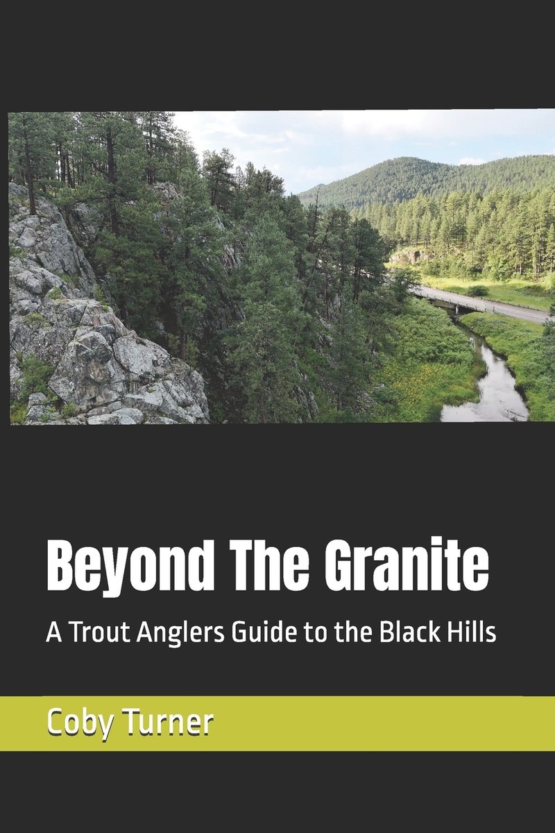 Beyond The Granite a book by Coby Turner - Bookshop.org US