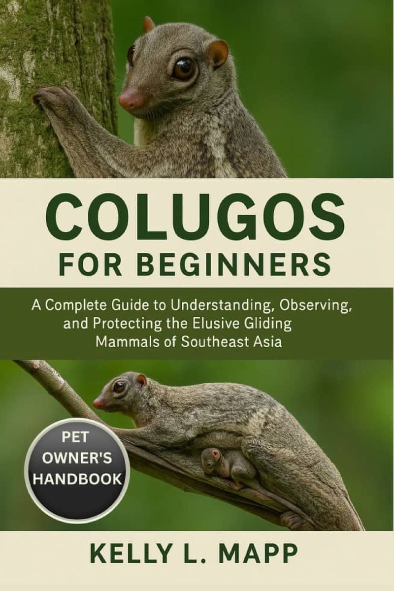 Colugos for Beginners a book by Kelly L Mapp - Bookshop.org US