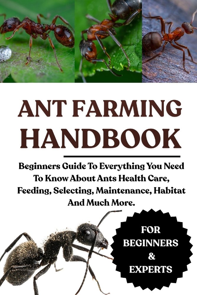 Ant Farming Handbook a book by John W Henderson - Bookshop.org US