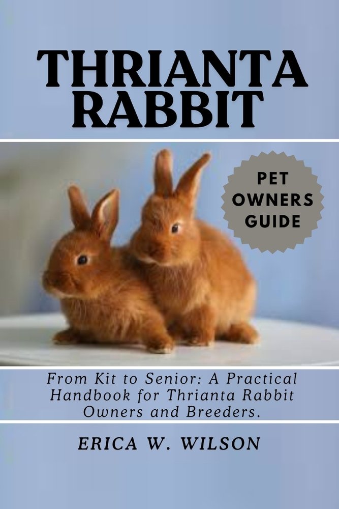 Thrianta Rabbit a book by Erica W Wilson - Bookshop.org US