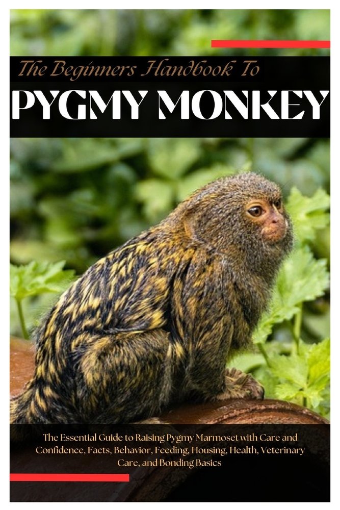 The Beginners Handbook to Pygmy Monkeys a book by Erin M Abbott ...