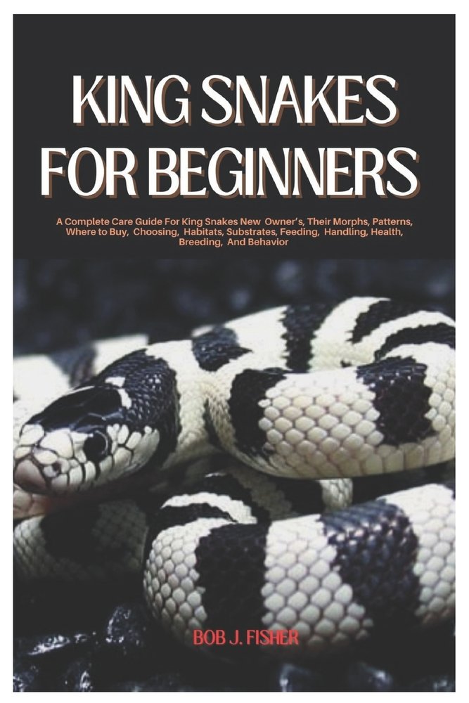 King Snakes for Beginners a book by Bob J Fisher - Bookshop.org US