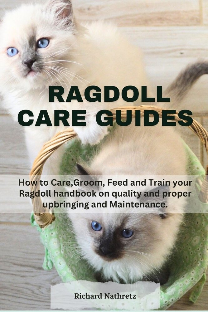 Ragdoll Care guides: How to Care, Groom, Feed and Train your Ragdoll ...
