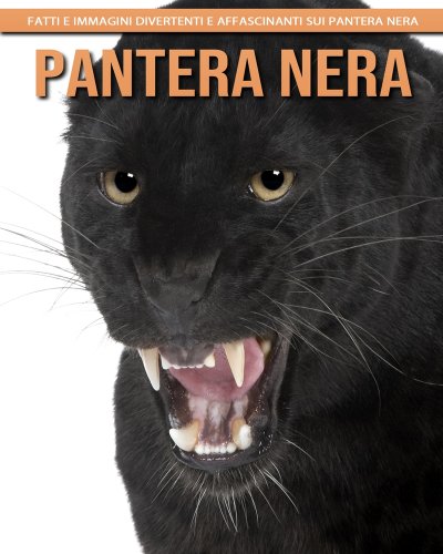 Pantera Nera - Fatti e immagini divertenti e affascinanti sui Pantera ...